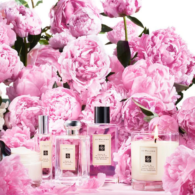 昕薇什么牌子,昕薇有几种