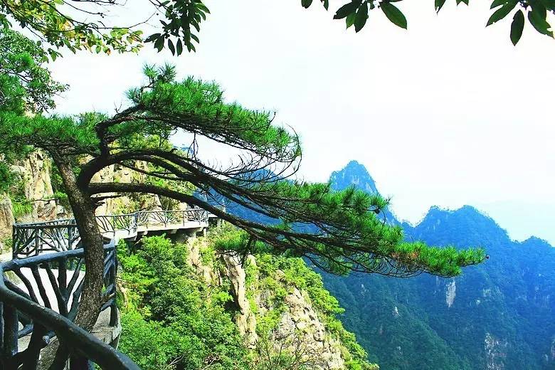 浙江最适合露营的6个好去处,浙江最佳的露营之地