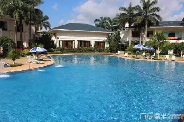 惠州惠城游泳馆,一起来游泳吧夏季特辑