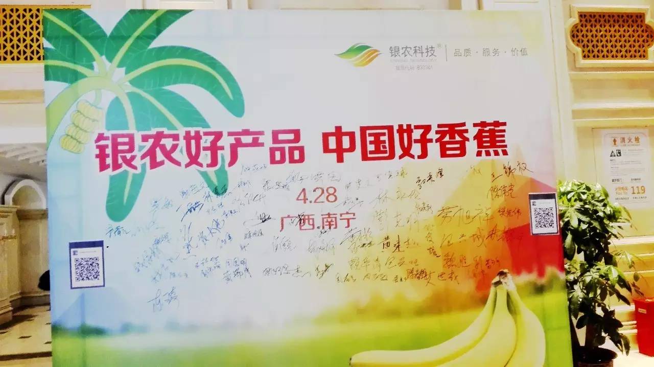 从产业的高度关注作物,关注香蕉,银农科技就这么做了