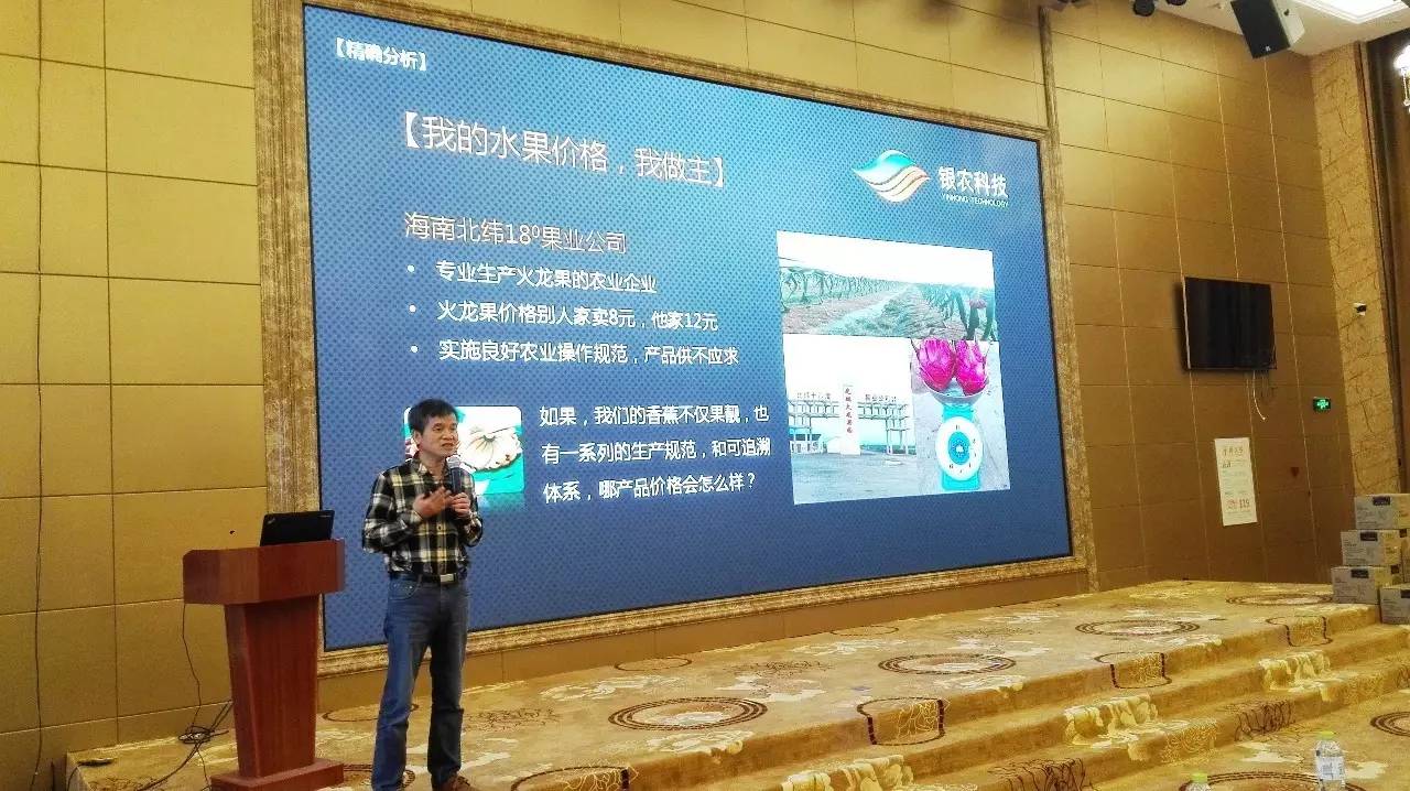 从产业的高度关注作物,关注香蕉,银农科技就这么做了