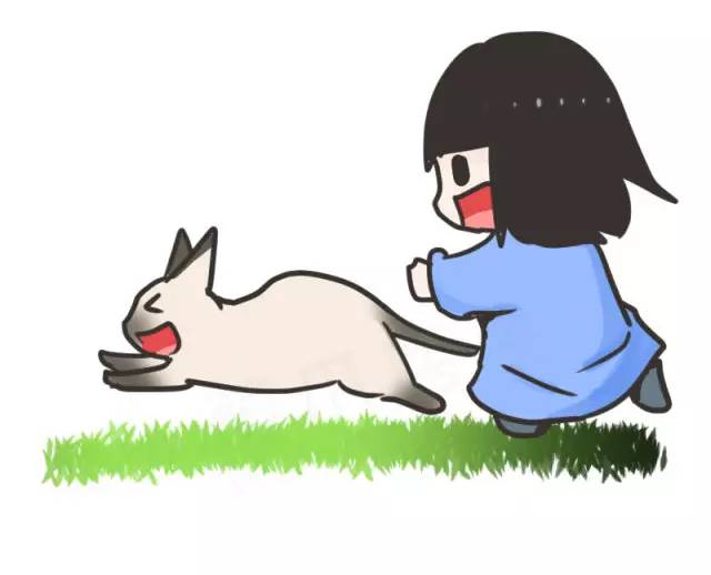 暹罗猫挖煤,挖煤队长暹罗猫