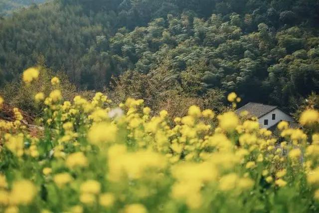 能让《人民的名义》中的“望北楼”都OUT的,竟然是这些民宿!