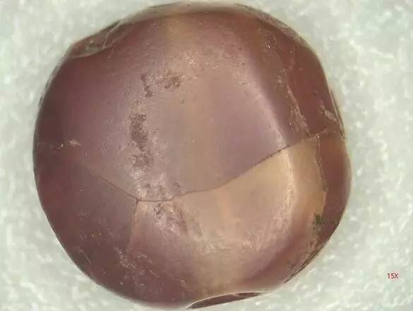 巫新华,峨边县巫新华