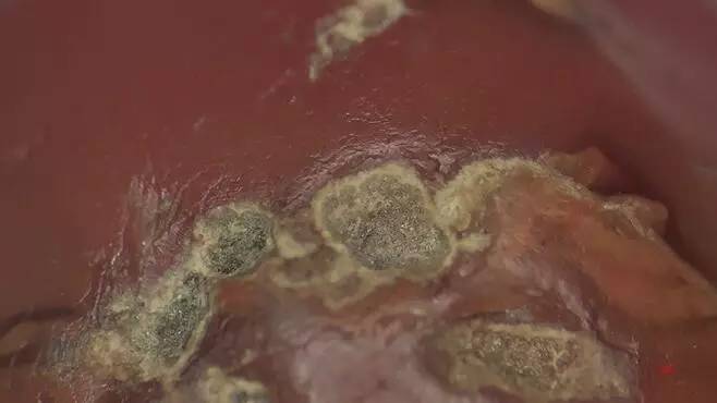 巫新华,峨边县巫新华