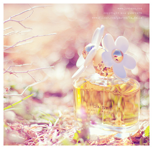 昕薇什么牌子,昕薇有几种