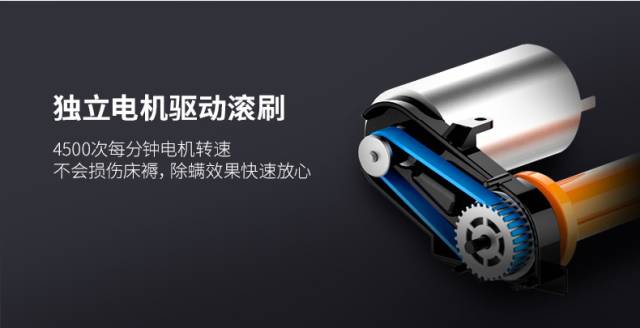 小一点的螨虫怎么消除,小螨虫最怕什么药