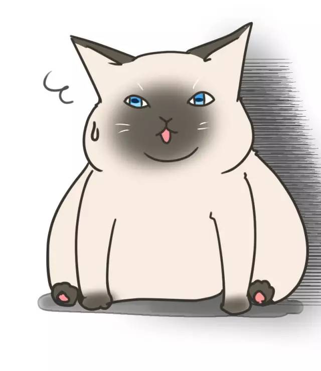 暹罗猫挖煤,挖煤队长暹罗猫