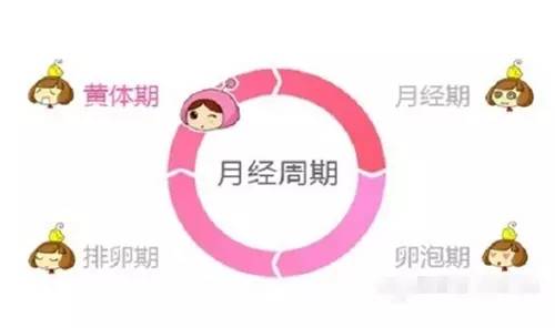 妹子闻风丧胆的亲戚,男人望而止步的虎:大姨妈