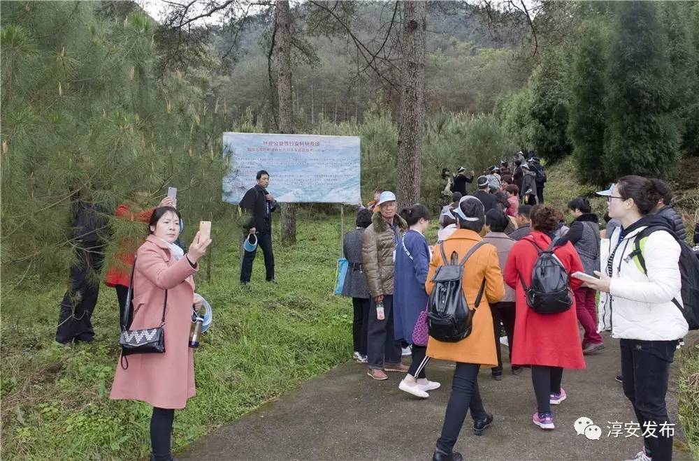 厉害了！淳安这个团队曾破解多个世界性难题，“五一”前又拿到国家级荣誉