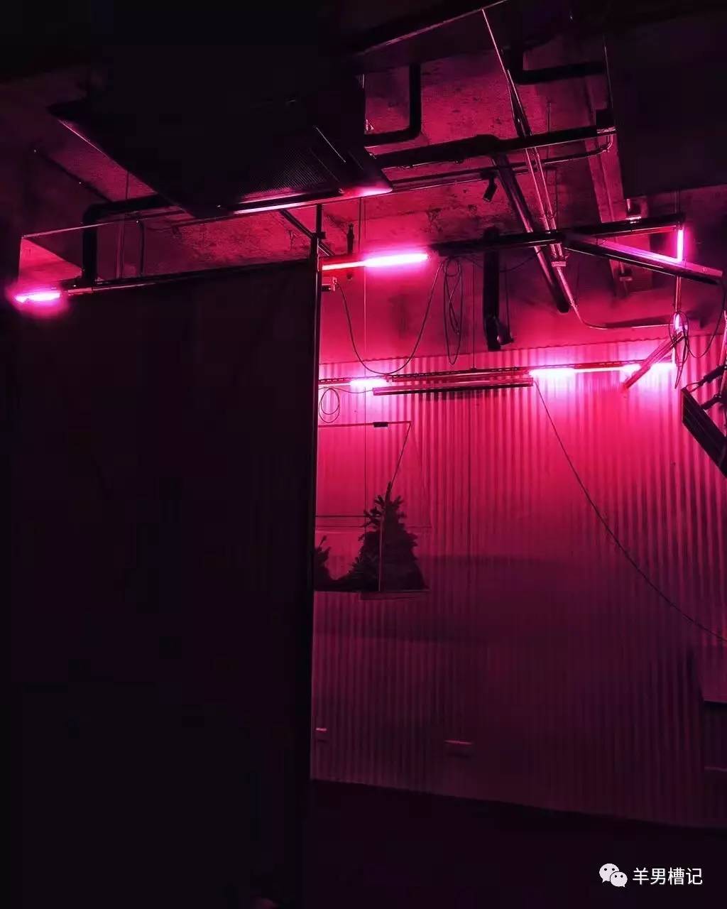 在广州一个人的夜,在广州一个小时能去哪里