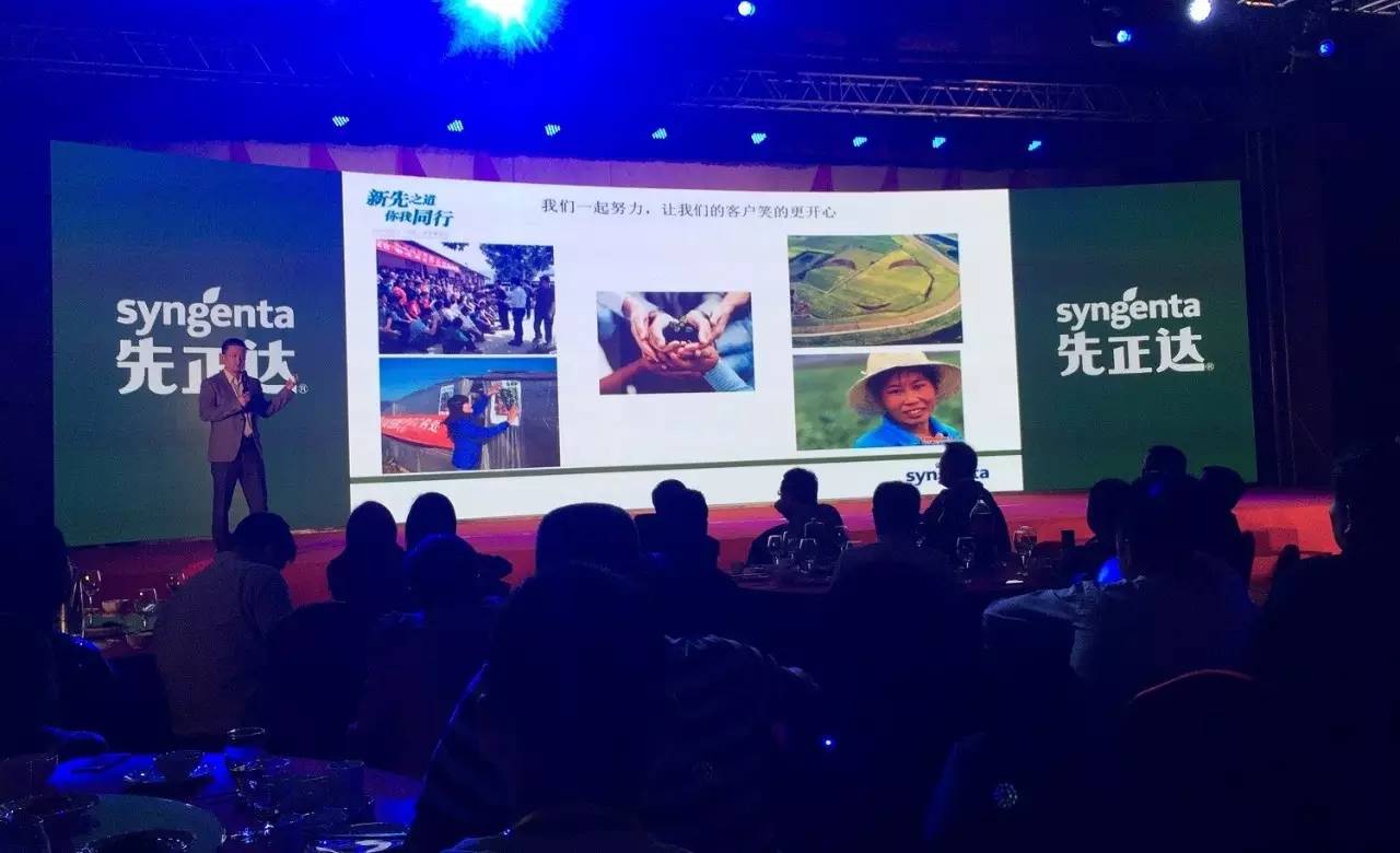 先正达24大蔬菜新品种,先正达蔬菜新品种