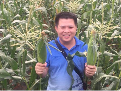 先正达24大蔬菜新品种,先正达蔬菜新品种