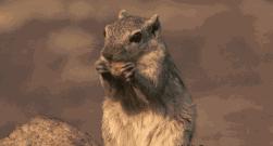 最健康营养的坚果,最有营养的坚果排行榜前十名