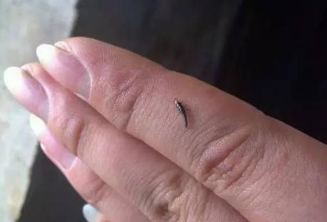 孩子脚上肿了一个包是怎么回事,孩子脚上起了个疙瘩后来就肿了