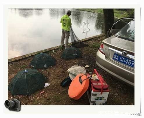 老地方钓鱼不好钓,五一抓鱼捕虾好去处