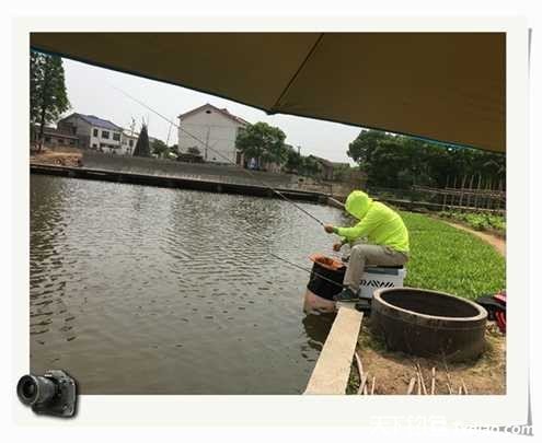 老地方钓鱼不好钓,五一抓鱼捕虾好去处