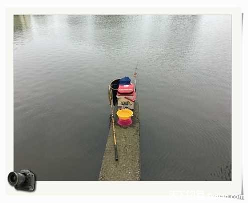 老地方钓鱼不好钓,五一抓鱼捕虾好去处