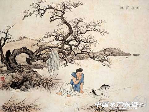 日供鲤鱼八千条,这家公司怎样把冷门的鲤鱼逆转成餐饮热点?