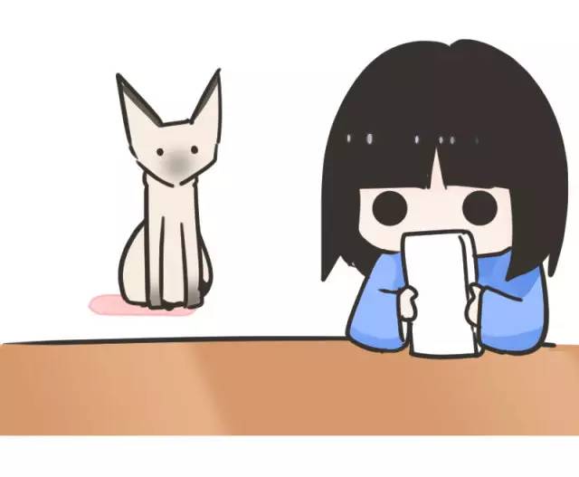 暹罗猫挖煤,挖煤队长暹罗猫