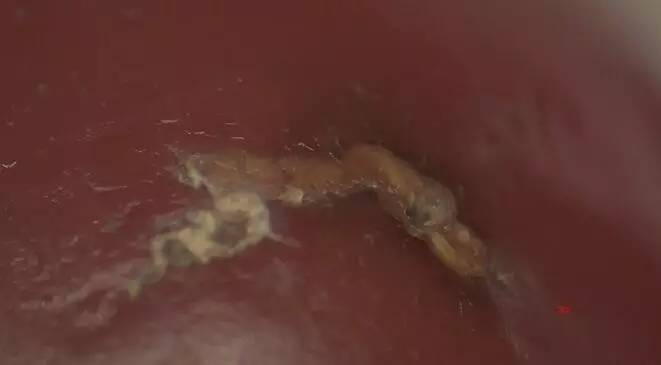 巫新华,峨边县巫新华