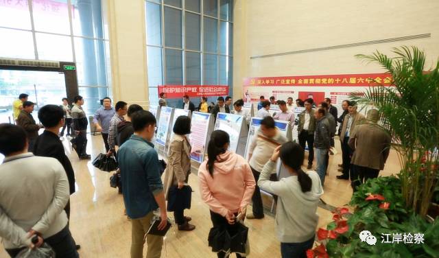 武汉知识产权审判庭是干什么的,知识产权刑事案件检察建议