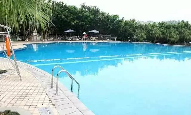 惠州惠城游泳馆,一起来游泳吧夏季特辑