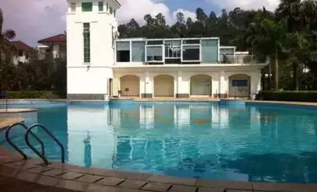 惠州惠城游泳馆,一起来游泳吧夏季特辑