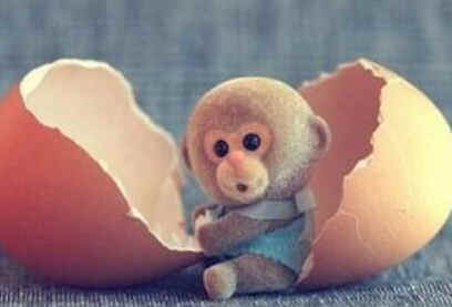 2016属猴宝宝出生旺月,2016猴几点出生最好命男孩