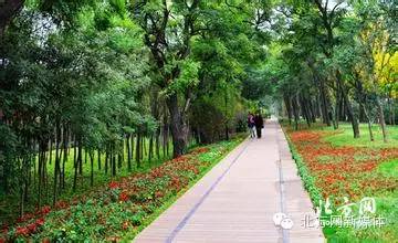 五月新规来了全面影响你的生活,五月起这些新规将会影响你的生活