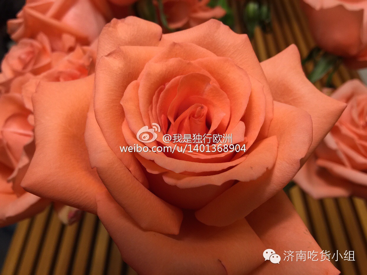 在济南，我想和你“一起”喝咖啡O,∩_∩O~~