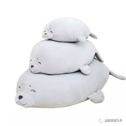 钱会花光人会散它萌不会离开你