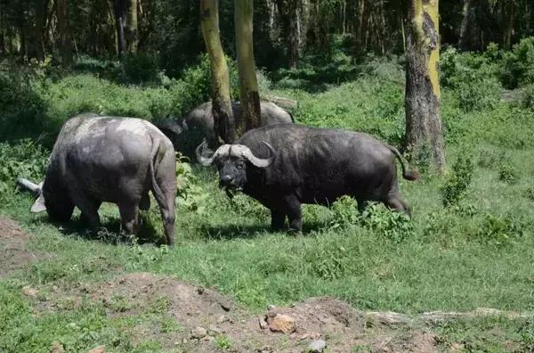 无需签证可以去旅游的国家,值得去的免签小众国家