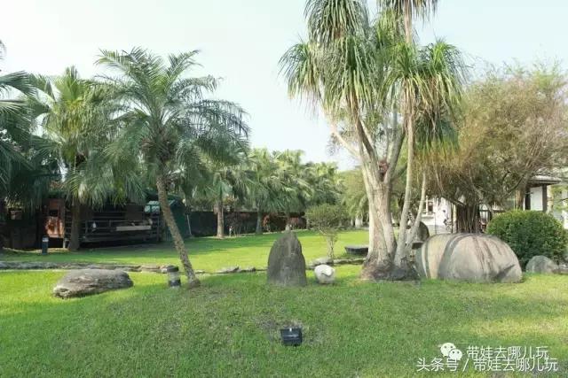 台湾花莲云顶民宿,台湾高雄花莲民宿