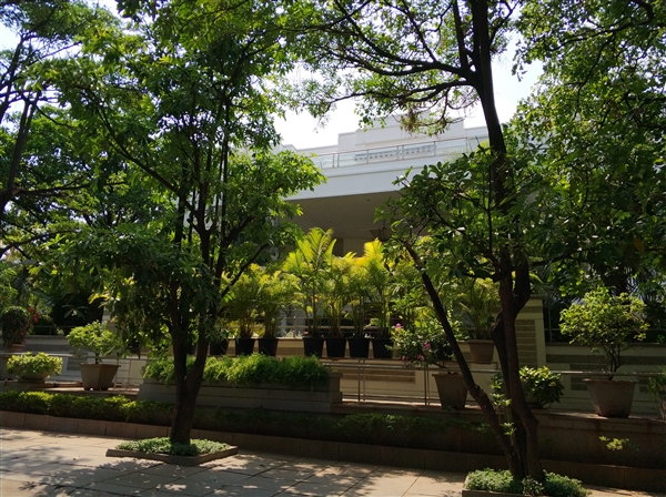 老外观看小米汽车之后的感受,老外赞叹中国美景反应视频