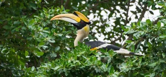 比马尔代夫便宜的小众海岛,马尔代夫免签好去处