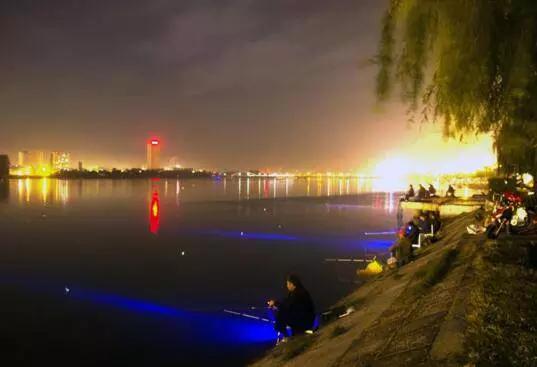 夜钓翘嘴的三个小诀窍,夜钓鲢鳙抛竿有什么诀窍