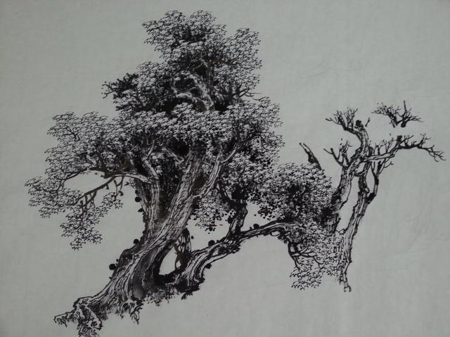 曾刚彩墨山水画丛树的画法教程,曾刚彩墨山水画房子的画法视频