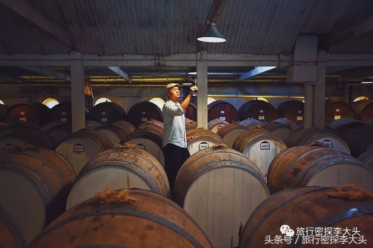 中国哪里可以抱考拉,全球哪里可以抱考拉