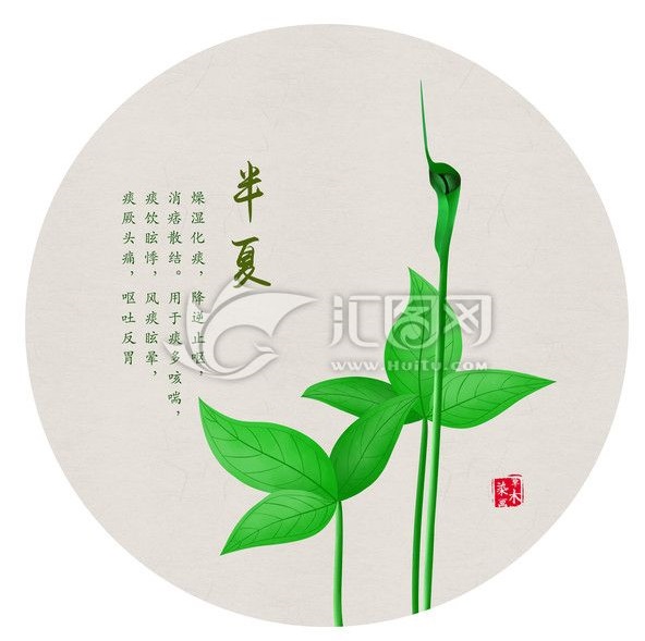 你肯定不知道中药还可以这么美