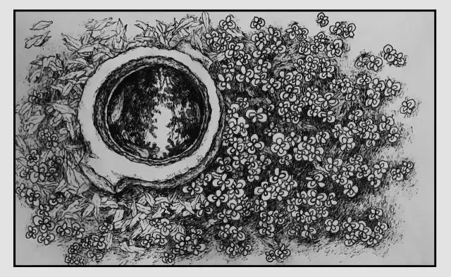 插画师迷狸：路过，停留