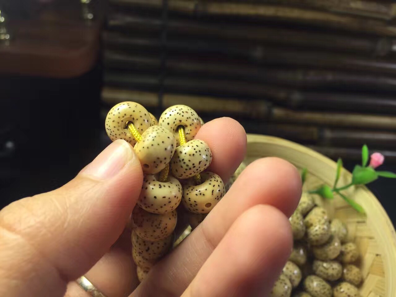 星月菩提陈籽玉化效果图,星月菩提陈籽为什么手感很干