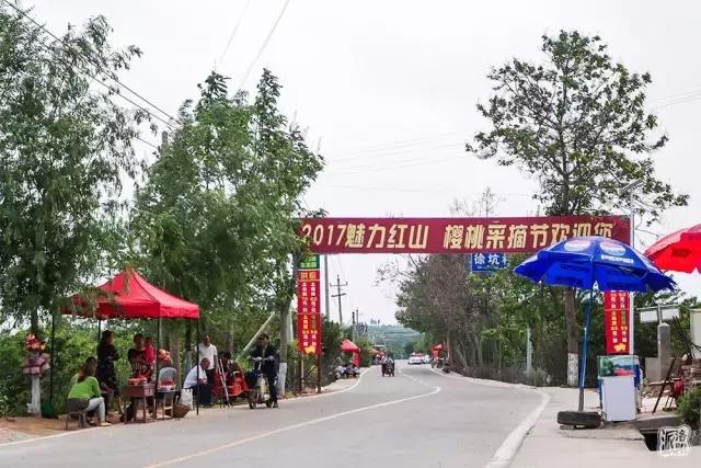 洛阳新安县樱桃采摘园,洛阳樱桃沟摘樱桃