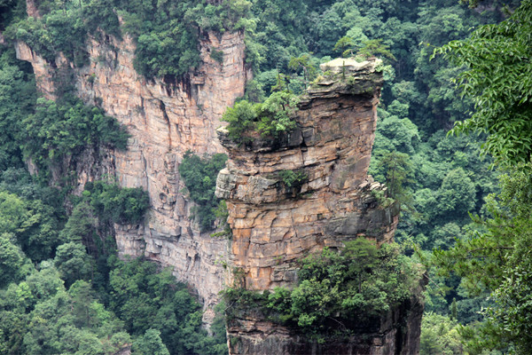 张家界为什么导游多,张家界自由行导游坑不坑