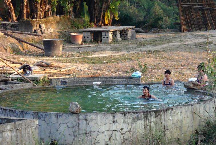 中国桂圆之乡广西博白,广西博白县桂圆柚之乡