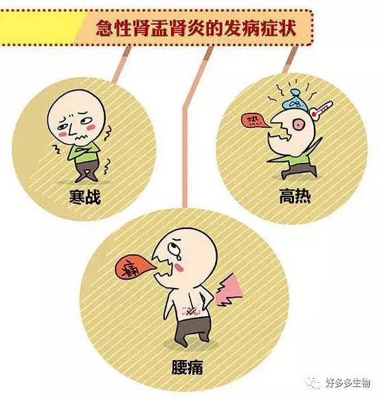 肾积水——尿都堵了，肾怎么能好