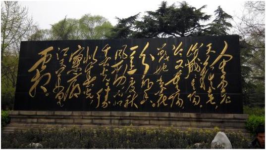 天上掉下个林妹妹黄梅戏,天上掉下个林妹妹电影在线观看