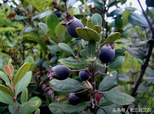 2017年赚钱那么难,不防试试这些赚钱门路,赚到了不用感谢我