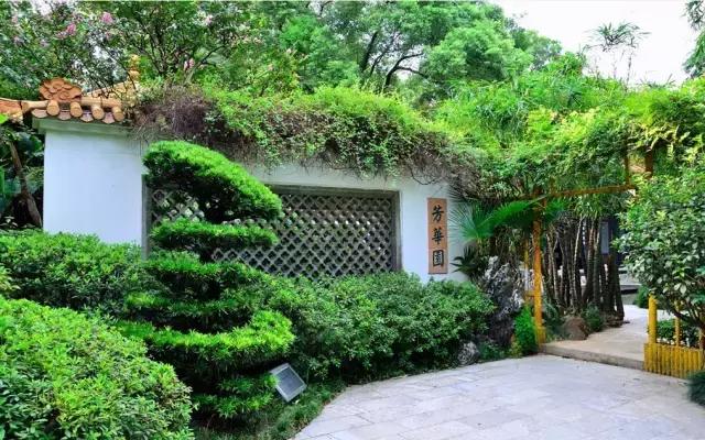 去过100次越秀公园，却不知旁边有个秘密花园！美爆了！