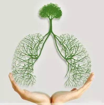 日常家中常备胃药有哪些 (一般不管什么样的胃药都会伤肾吗)